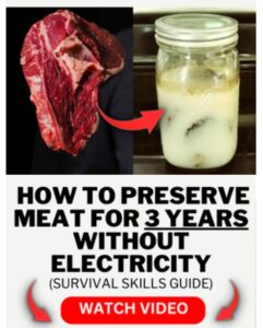 How to Preserve Food